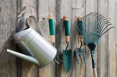 Les Outils De Jardinage Que Faut Il Savoir Sur Leur Fonction