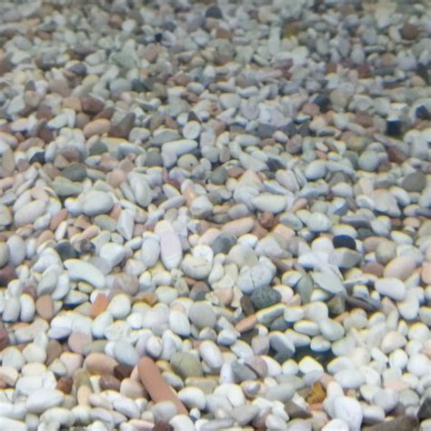 Jual Batu Koral Kerikil Pasir Substrate Panca Warna Aquascape Aquarium