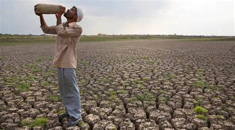 Maharashtra Vidarbha Records 448 Pc Drop In Farmer Suicides From Last Year City Others News