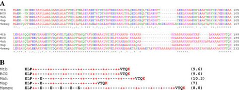 Sequence Alignment Of Different Hbha Proteins A Multiple Sequence Download Scientific