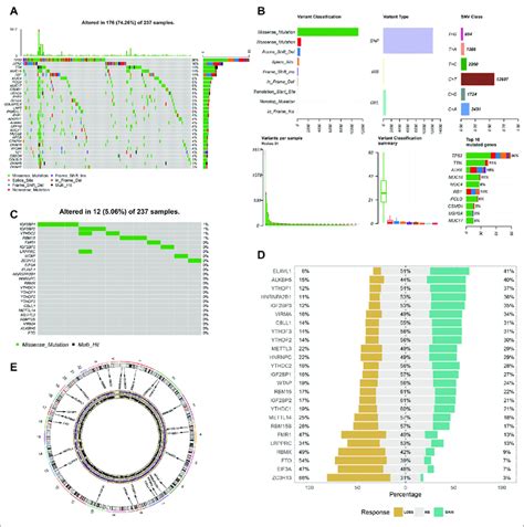 Landscape Of Somatic Mutations And Cnv Of M A Regulators In Sts A