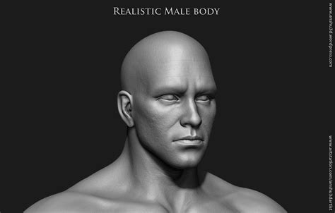 Realistic Human Male Body D Model By Anshu Dartist