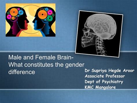 Male And Female Brain What Constitutes The Gender Ppt