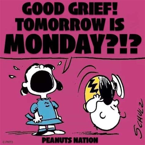 Pin By Darla Mezei On Snoopy And The Peanuts Gang Charlie Brown And Snoopy Tomorrow Is Monday