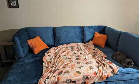 mo finance shintenchi reversible modular sectional sofa set