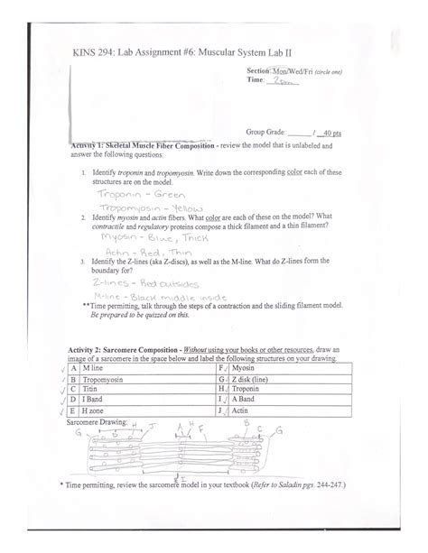 Kins Lab Assignment Muscular System Lab Ii Identify Troponin