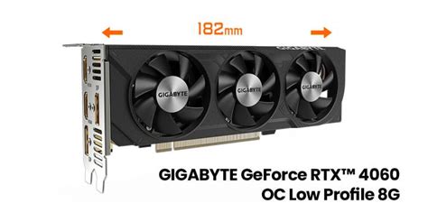 Gigabyte Geforce Rtx 4060 Low Profile Graphics Card Launched