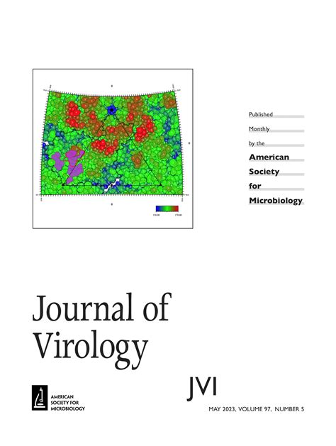 Mitochondrial Glycerol 3 Phosphate Dehydrogenase Restricts HBV