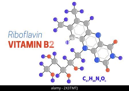 Vitamin B2 Riboflavin Molecular Chemical Formula Infographics Vector