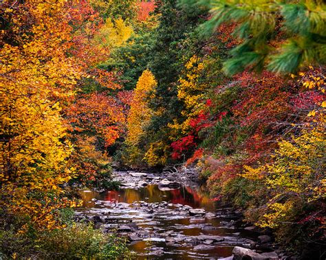 Vibrant Autumn Colors Photograph By Leah Simcisko Pixels