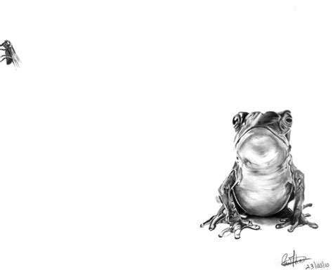 Lazy Frog By Ratttleheadd On Deviantart