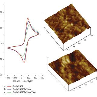 A Anodic Peak Current For Fe CN 6 3 4 Redox Probe Recorded At