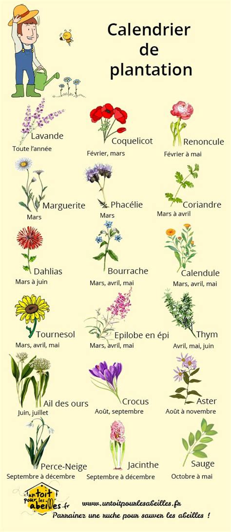 Calendrier De Plantation Des Fleurs Astuces Jardins Jardin Potager