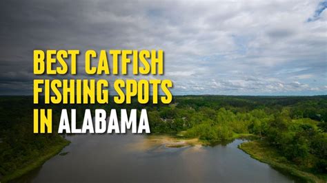 Best Catfish Fishing Spots In Alabama The Outdoor Tips