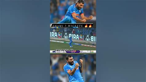 Its Not Semi Final Its Shami Final 🔥shami On Fire 🔥 Youtube