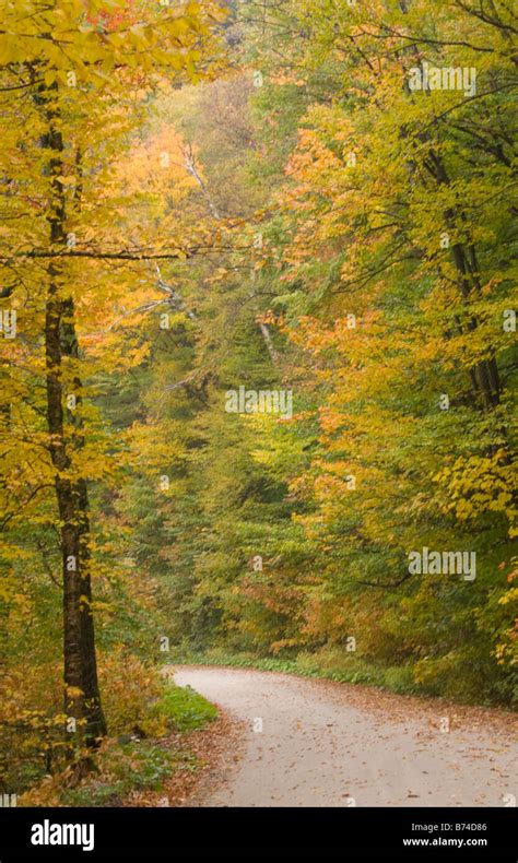 Green mountain national forest vermont hi-res stock photography and images - Alamy