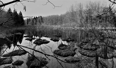 Les 1000 étangs Melisey Haute Saône Hervé Tisserand Flickr