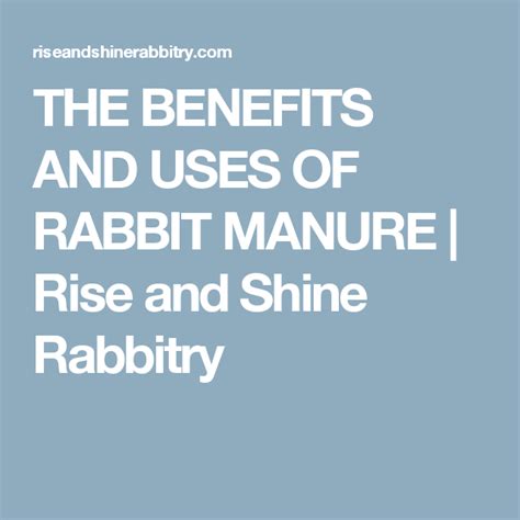 THE BENEFITS AND USES OF RABBIT MANURE | Rise and Shine Rabbitry | Manure, Benefit, Miracle grow