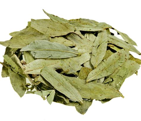 Natural Dry Senna Leaves Sanay Grade Medicine Grade Packaging Size