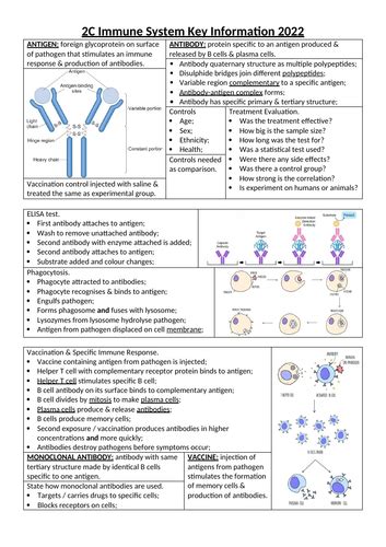 Aqa As Biology 2c Immune System Teaching Resources