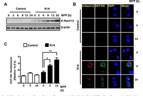 Figure 1 From Rassf1a Suppresses The Activated K Ras Induced Oxidative