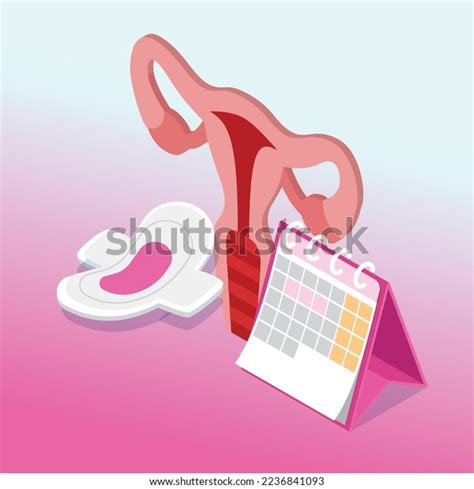 Menstrual Cycle Calendar Isometric 3d Vector Stock Vector Royalty Free