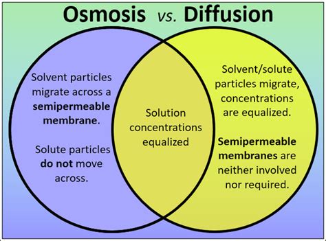 Grade 9 Sem 1 Chapter3Movement Of Substances In And Out Of Cells