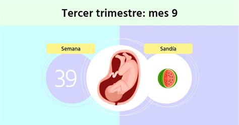 Semana 39 De Embarazo Se Acerca El Momento Del Parto