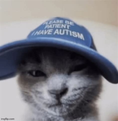 cat autism Blank Template - Imgflip