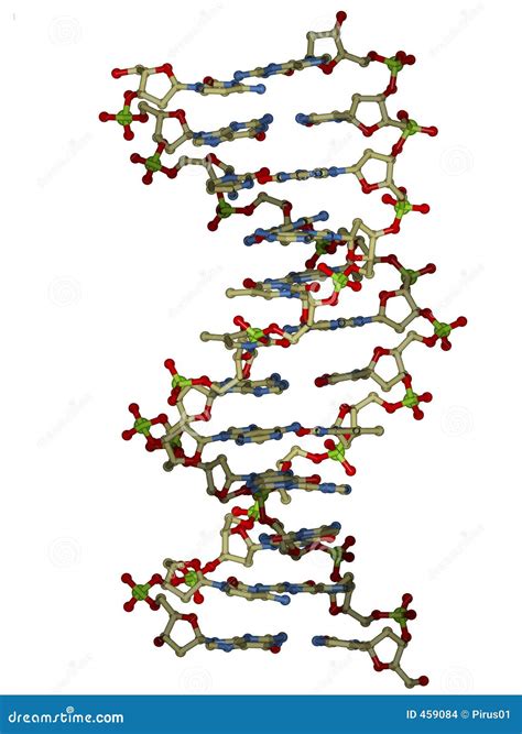 Dna Double Helix Molecule Stock Images Image 459084