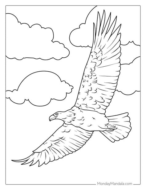 Drawing Of A Eagle Colored