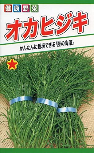 トーホクのタネ 「オカヒジキ」の栽培記録 横浜家庭菜園研究所