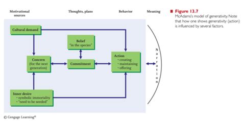 Exam 5 Lifespan Development Lifespan Development Final Exam Study