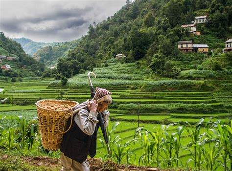 Hmong Culture by Alexis Holter