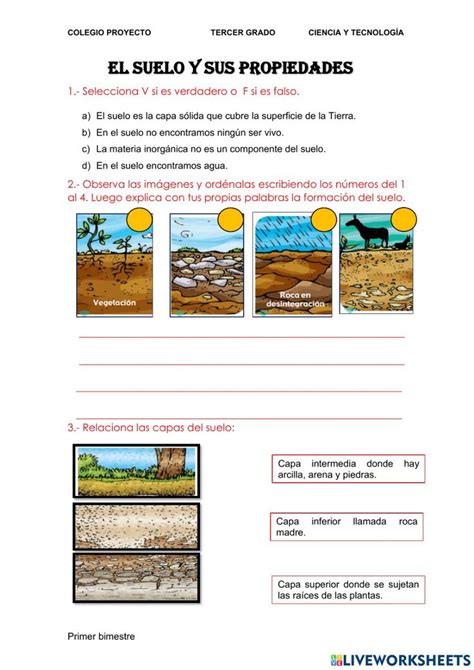 El suelo y sus propiedades worksheet Formacion del suelo Enseñanza