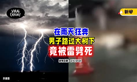 【祸从天降 】男子从树下路过「被雷劈中⚡」下秒身体僵直倒地身亡！