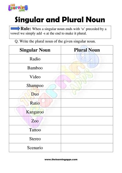 Single And Plural Worksheets