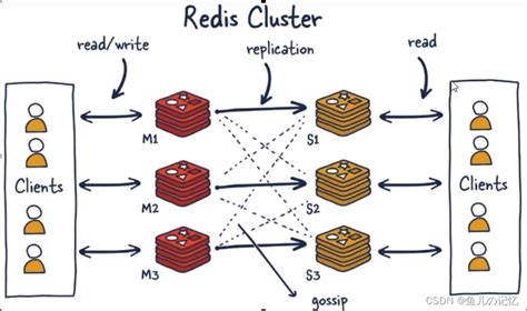 Redis 7 第八讲 集群模式（cluster）架构篇redis7集群 Csdn博客