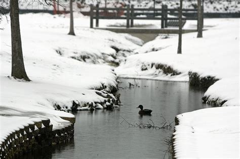 Animals Threatened By the Texas Temperatures | Nature and Wildlife ...