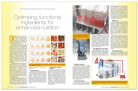 Fluid Bed And Spouted Bed Technologies Optimising Functional