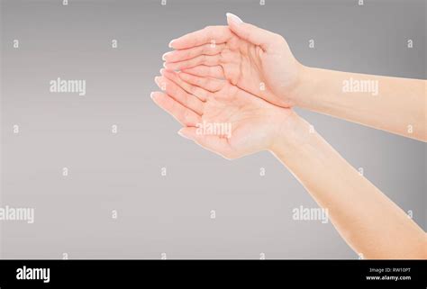 Woman cupped hands holding something isolated on grey background Stock Photo - Alamy