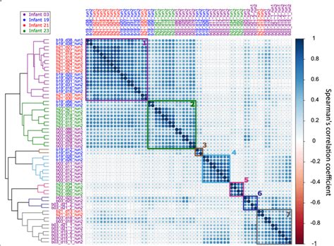 Correlation Plot With Hierarchical Clustering Of Microbial Eggnogs