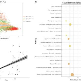 PICRUSt2 KEGG Orthology KO Prediction Distinction And Gene Set