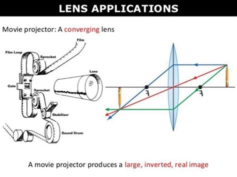 8 Examples of Convex Lens Uses in Daily Life – StudiousGuy