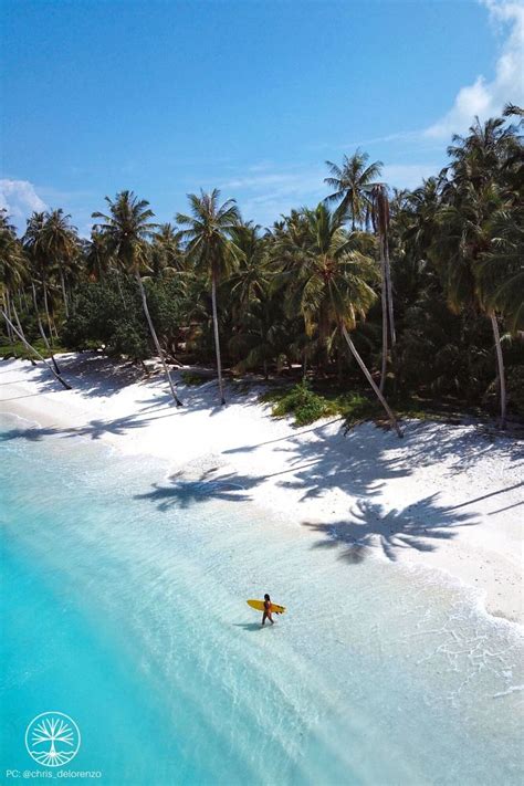 Mentawai Islands Surf | Surfing, Surf trip, Travel