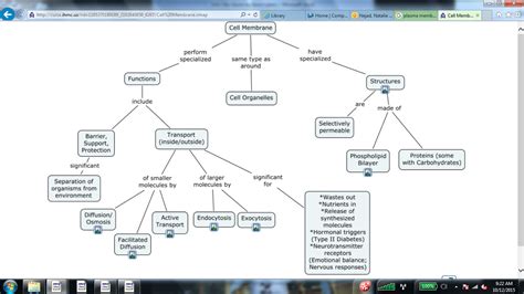 Membrane Concept Map