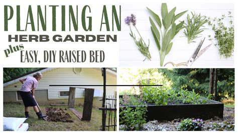 Growing Herbs ~ Making An Herb Garden ~ Summer Time Gardening ~ Diy