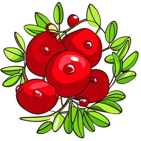 Cranberry Handgezeichnetes Cartoon Aufkleber Symbol Konzept Isolierte