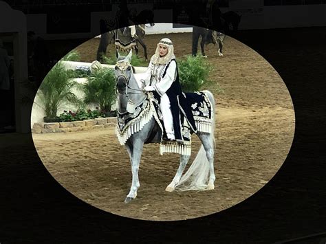 Arabian Horse Show Dressage Photograph by Betsy Cullen - Pixels