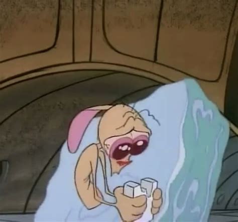 Ren And Stimpy Old Cartoon Shows Old Cartoons Cartoon Pics